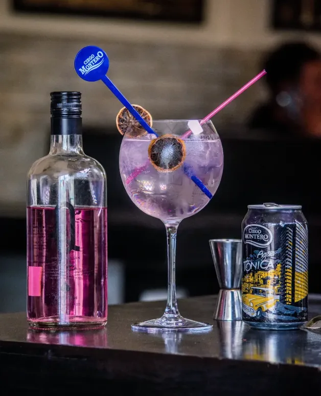 Gin tonic rosado con naranja deshidratada en la barra